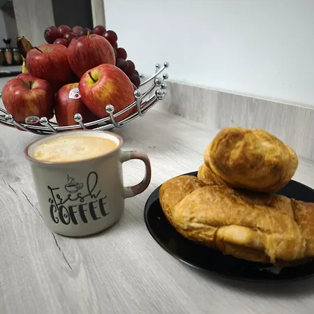 Center 公寓 旧扎戈拉